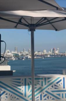 Nikolina Dragojlović