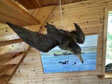 Usamljena kuća na ostrvu Etlidaj