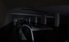 Radoje Zvicer (8).png