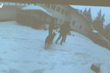 Screenshot 2026-02-10 220010.png