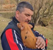 Jovica Nikolić smislio pesmicu za svoje prase