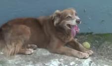 Screenshot 2026-02-13 111545.png