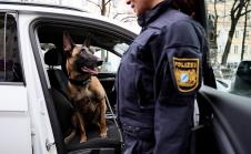 x EPA Ronald Wittek.jpg