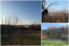 plac ribnjak petrovaradin