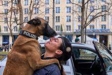 Nemaka bezbednosna konferencija (1).jpg