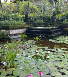 Ivana Selakov na Baliju