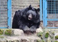 Screenshot 2026-02-15 094133.jpg