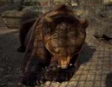 Screenshot 2026-02-15 104439.jpg