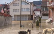 Screenshot 2026-02-16 121726.png