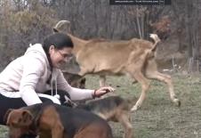 Jovana Rajković  (1).png