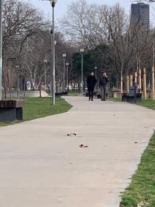 WhatsApp Image 2026-02-19 at 15.04.47 (1).jpeg