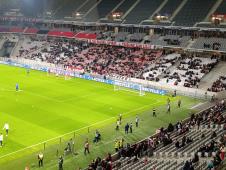 WhatsApp Image 2026-02-19 at 20.33.57.jpeg