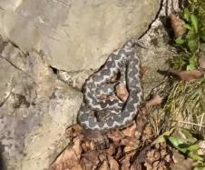 Screenshot 2026-02-22 182916.jpg