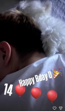 Slavlje u domu Žike Jakšića i Dajane Paunović