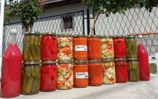 Screenshot 2026-02-25 125516 - Copy.png