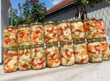 Screenshot 2026-02-25 125528 - Copy.png