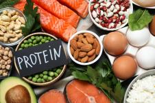 različite namirnice biljnog i životinjskog porekla koje sadrže zdrave protene/natpis protein