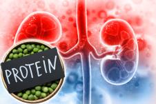 grafički prikaz bubrega/činija s graškom na kojoj stoji natpis protein