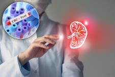 doktorka pokazuje na vizuelni model slezine/epruveta za analizu kompletne krvne slike