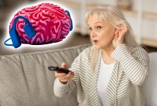 shutterstock_2670103877 copy.jpg