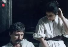 serija Vuk Karadžić