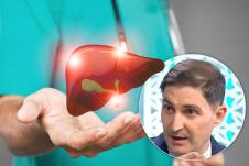 dr Dejan Čubrilo/model jetre