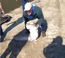 Screenshot 2026-03-09 092434.jpg