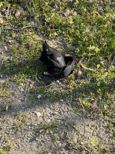 WhatsApp Image 2026-03-12 at 09.22.23 (2).jpeg