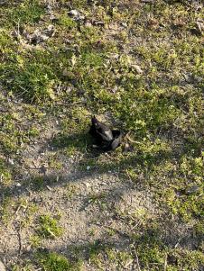 WhatsApp Image 2026-03-12 at 09.22.24.jpeg