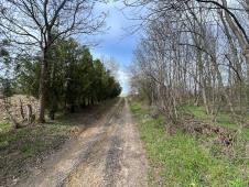 WhatsApp Image 2026-03-12 at 11.15.29.jpeg