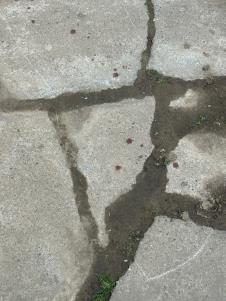 odzaci i pokusaj ubistva (3).jpeg