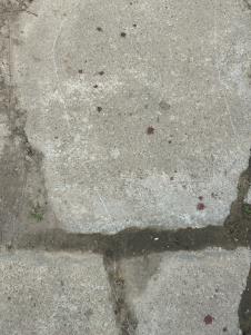 odzaci i pokusaj ubistva (4).jpeg