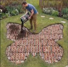 Baštovan otkrio trik za sadnju lala pomoću kartonskih kutija od jaja