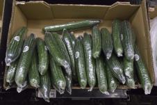 Krastavci u prodavnici umotani u plastičnu foliju radi očuvanja svežine