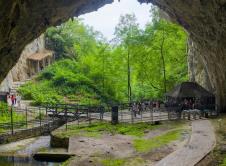 Screenshot 2026-03-14 114513.png