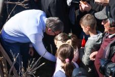 Aleksandar Vučić (2).jpeg