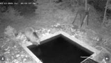 Screenshot 2026-03-16 085908.png