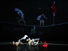 1 IMG_0012 Duško Vukić.JPG