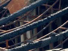 WhatsApp Image 2026-03-16 at 13.57.12.jpeg