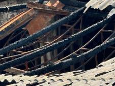 WhatsApp Image 2026-03-16 at 13.57.05.jpeg