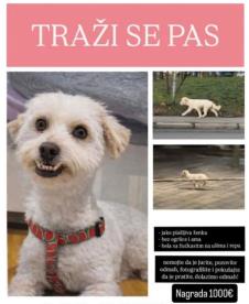 Screenshot 2026-03-16 143242.png