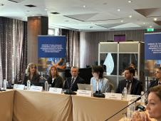 Carević o unapređenju tretmana lica sa mentalnim smetnjama