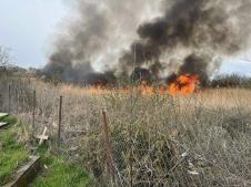 WhatsApp Image 2026-03-17 at 19.12.08 (1).jpeg