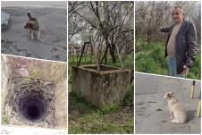 Psi Bunar Aleksinac.jpg