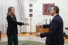 WhatsApp Image 2026-03-19 at 19.28.17 (6).jpeg