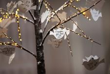 Nowruz Novruz Persijska Nova Godina