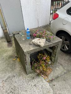 Stela Savić (7).jpeg