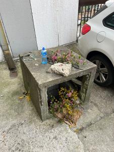 Stela Savić (6).jpeg