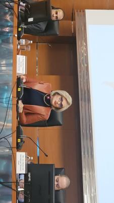 Jorgovanka Tabaković, NBS