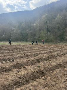 WhatsApp Image 2026-03-24 at 19.09.45.jpeg